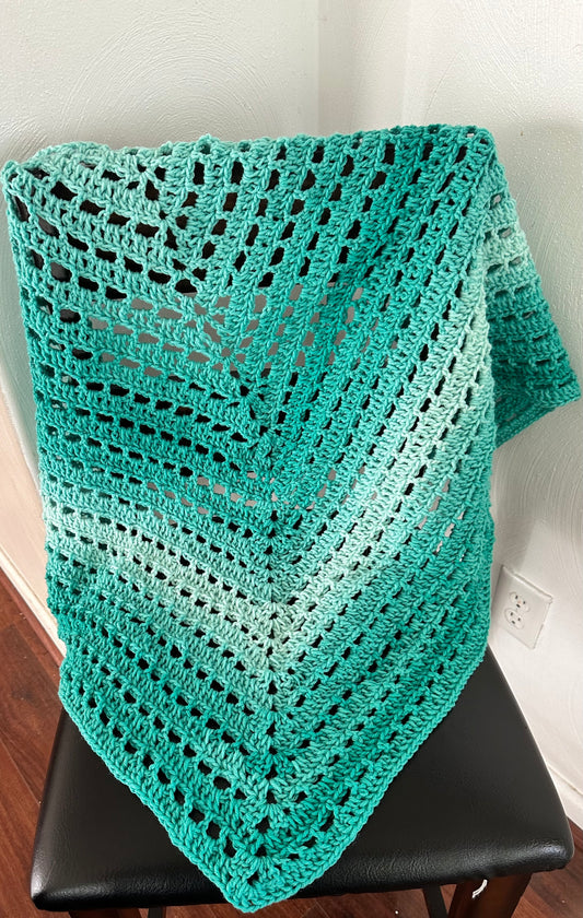 Crochet Eyelet Shawl